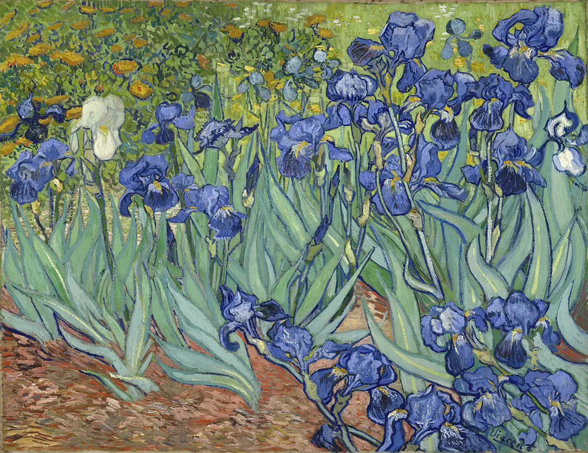 The Last Flourish of Van Gogh: A Remarkable Event in Paris